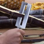 Knife slicing and cleaning cane and pineapple - Image 3