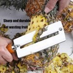 Knife slicing and cleaning cane and pineapple - Image 2