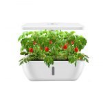 Intelligent Planter Fruit and Vegetable Growing Box with Soilless Grow Lamp / SC-202201 - Image 5
