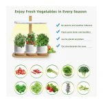 LED Plant Grow Box Quick Start Manual 38*13CM / Z500 - Image 6