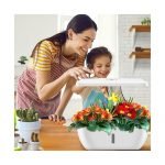 Intelligent Planter Fruit and Vegetable Growing Box with Soilless Grow Lamp / SC-202201 - Image 3