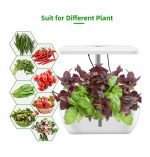Intelligent Planter Fruit and Vegetable Growing Box with Soilless Grow Lamp / SC-202201 - Image 7
