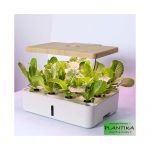 Intelligent Planter Fruit and Vegetable Growing Box with Soilless Grow Lamp / Z202