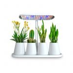 LED Plant Grow Box Quick Start Manual  / Z900
